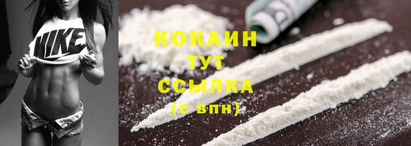 прущие крисы Балахна
