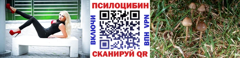 Галлюциногенные грибы прущие грибы  Лангепас 